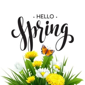 Colorful spring flowers including yellow dandelions and white daisies with green grass and an orange butterfly, with Hello Spring text overlay.