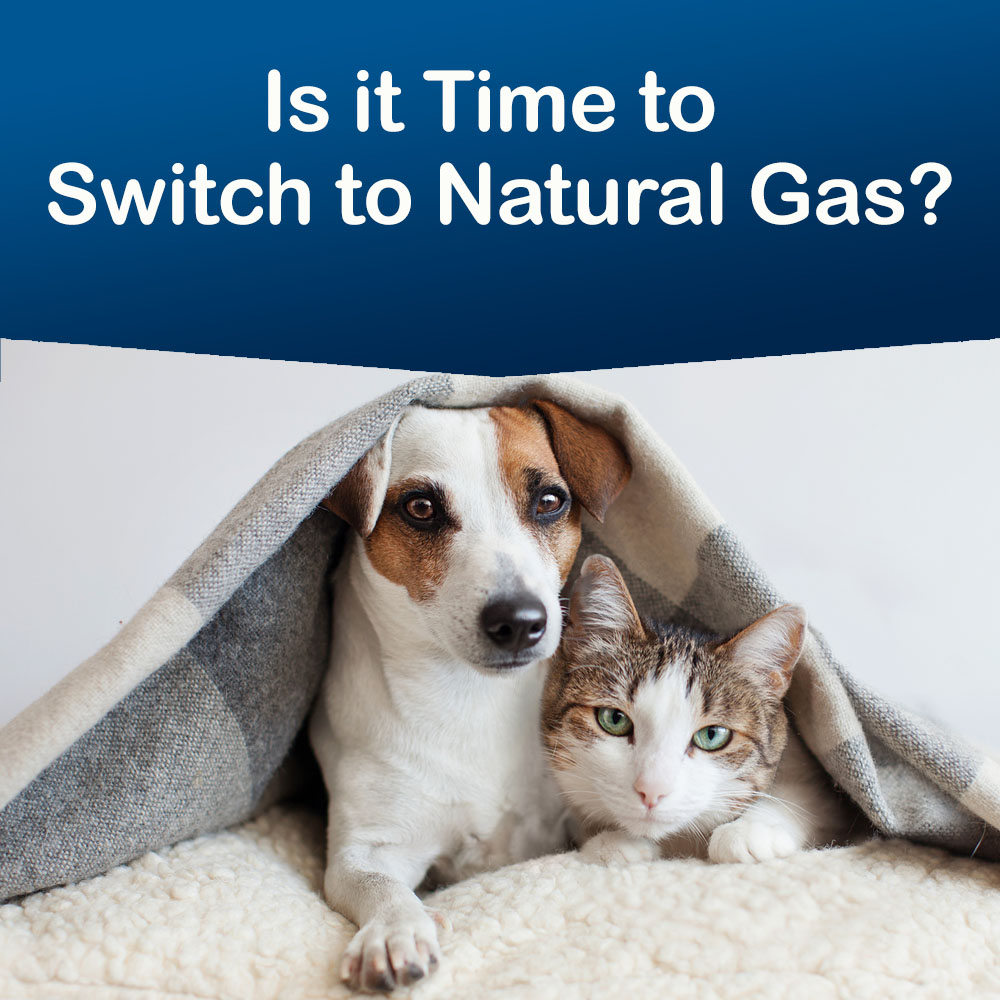 Switch to Natural Gas 